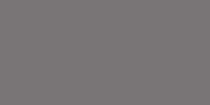 23299 Gris Oscuro