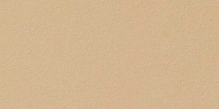 3148 CANTO ABS  BEIGE