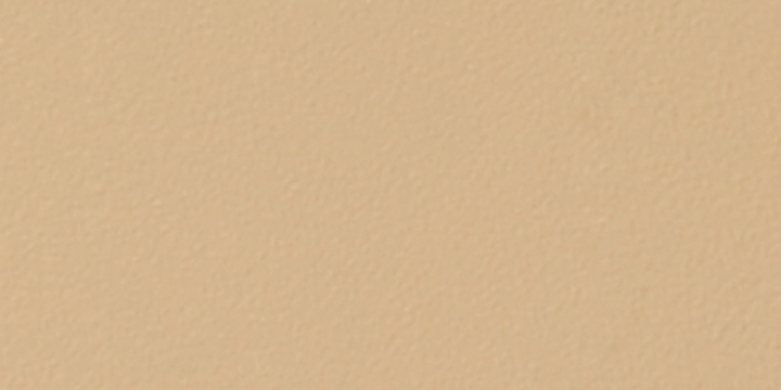 3148 BEIGE