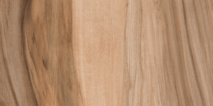 4525 CANTO ABS  ROBLE